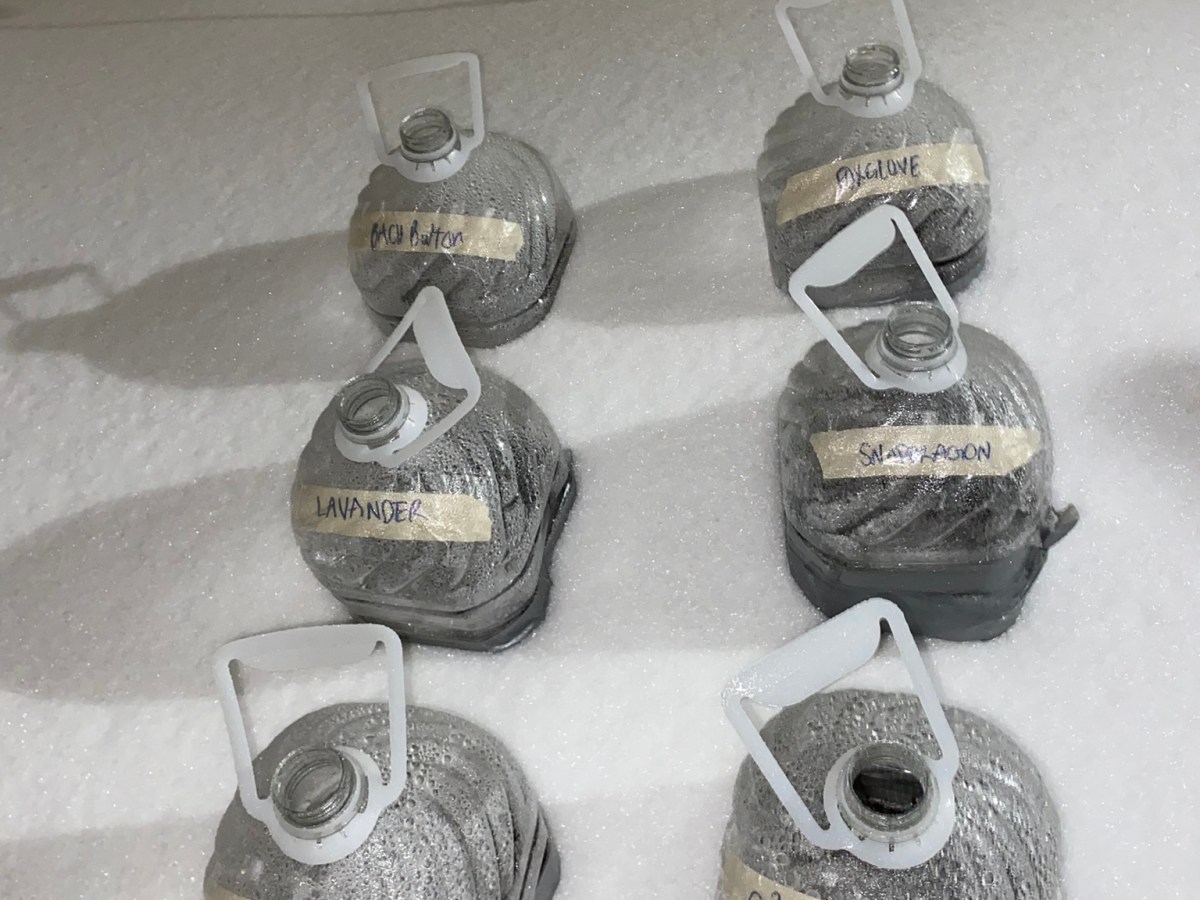 How to Winter Sow: An Easy Guide to Starting Seeds Outdoors in&nbsp;Winter