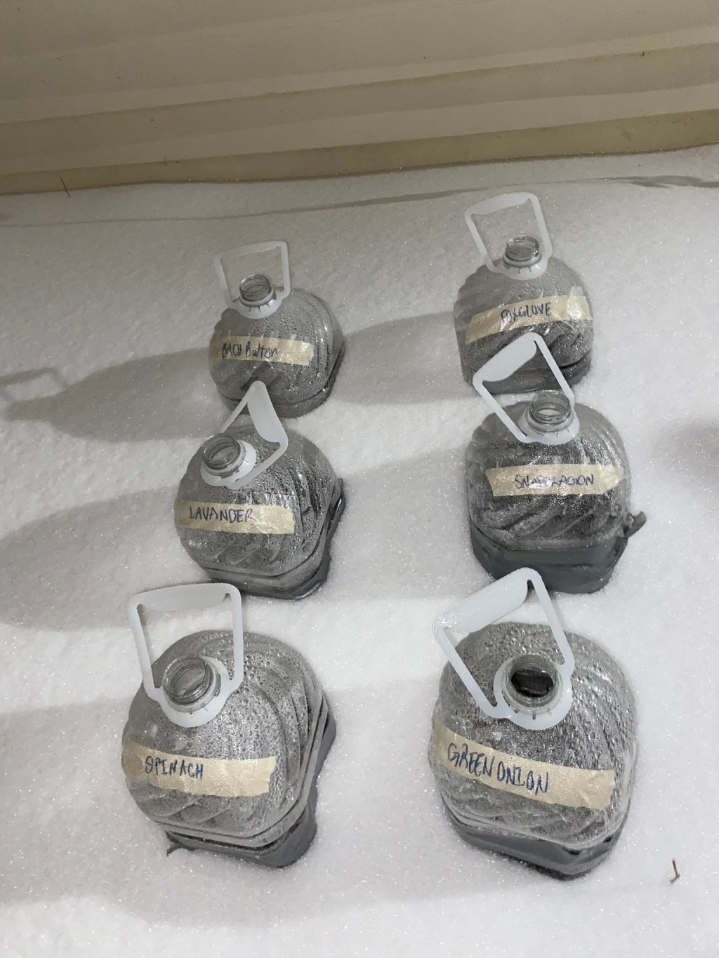 How to Winter Sow: An Easy Guide to Starting Seeds Outdoors in&nbsp;Winter